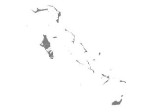 Bahamas - silhouette