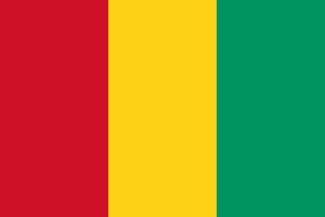 Guinea-flag, zastava