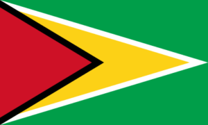 Guyana -flag, zastava