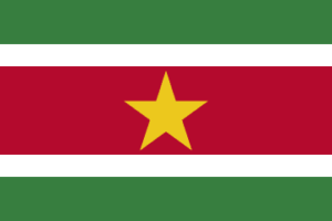 Suriname -flag, zastava