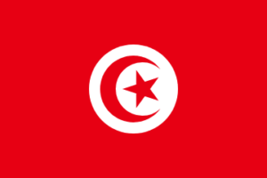 Tunis -flag, zastava